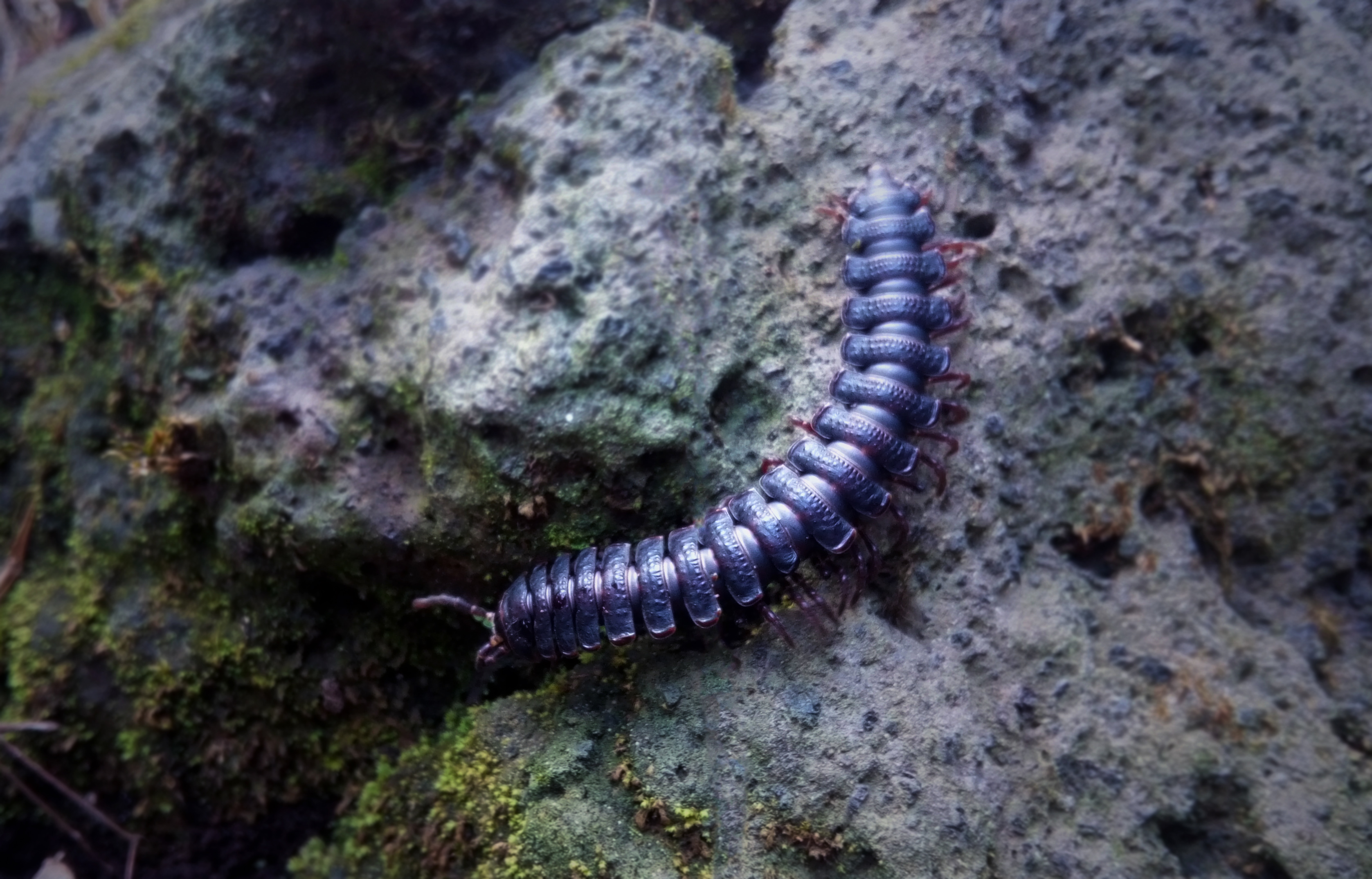 Interactions with humans